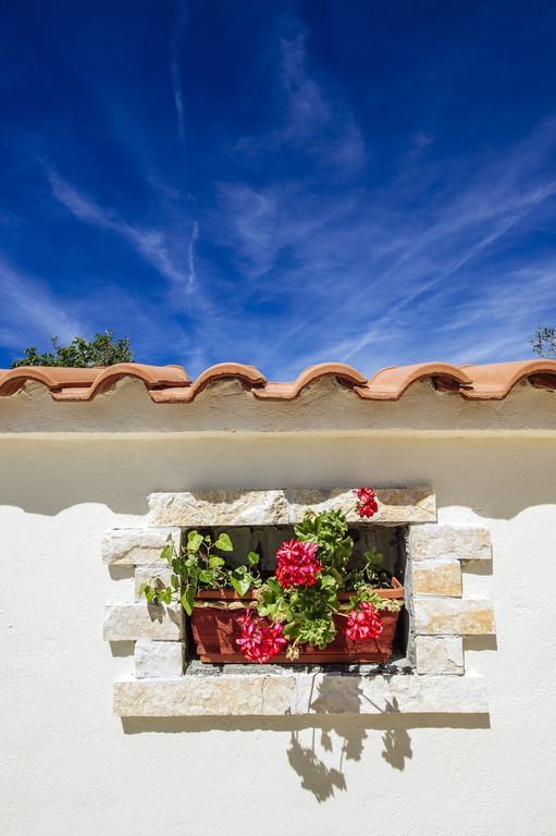 Villa Olive House Zadar Extérieur photo